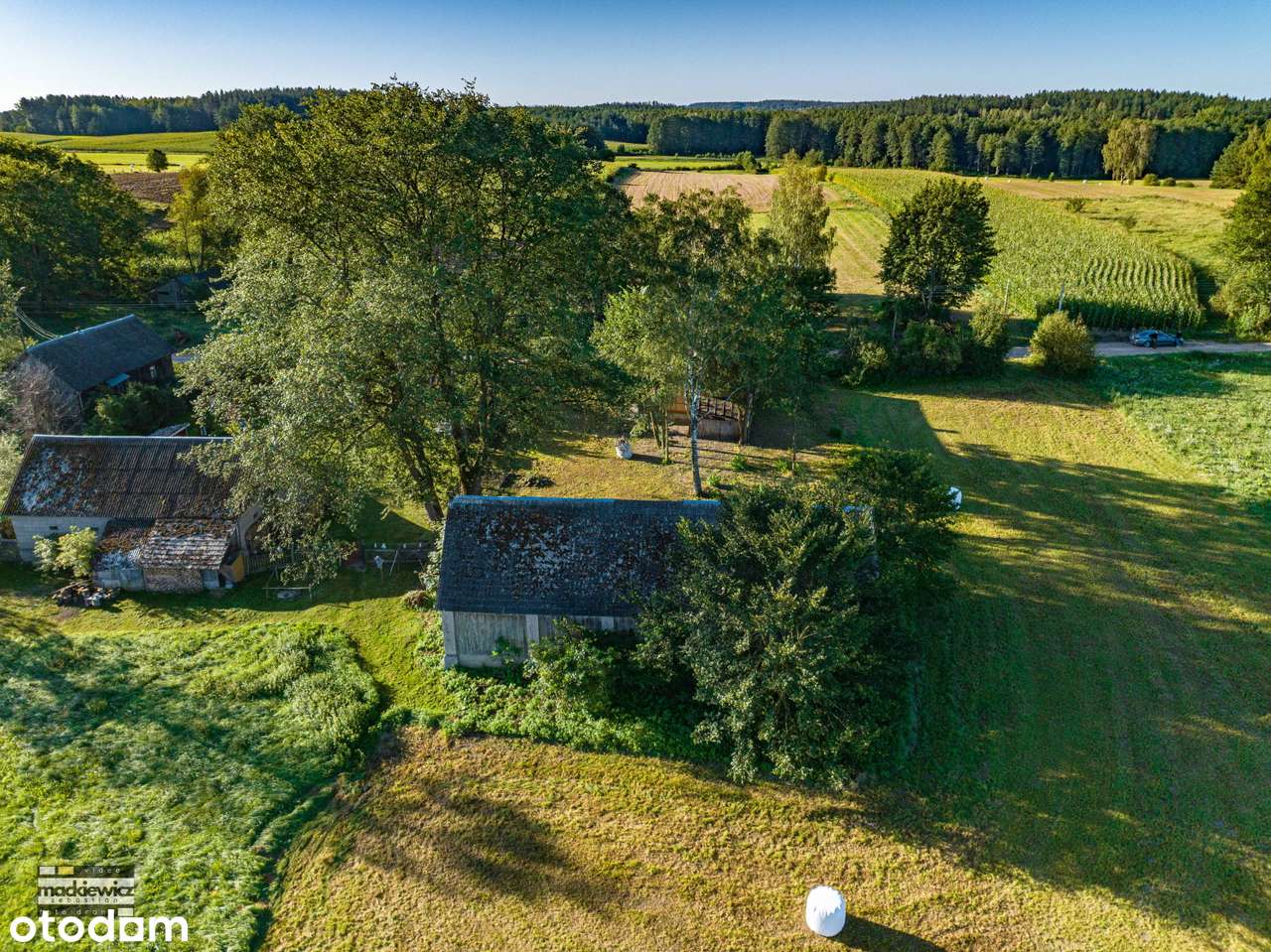 Siedlisko w miejscowości Cimanie, gmina Kuźnica Białostocka-7