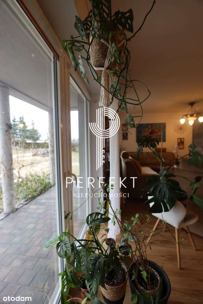 Dom na sprzedaż Steklno - Pełny obrazek: 4/16