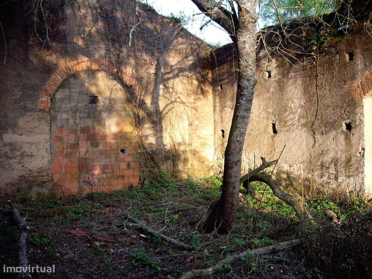 Quinta do Conventinho - Óbidos-6