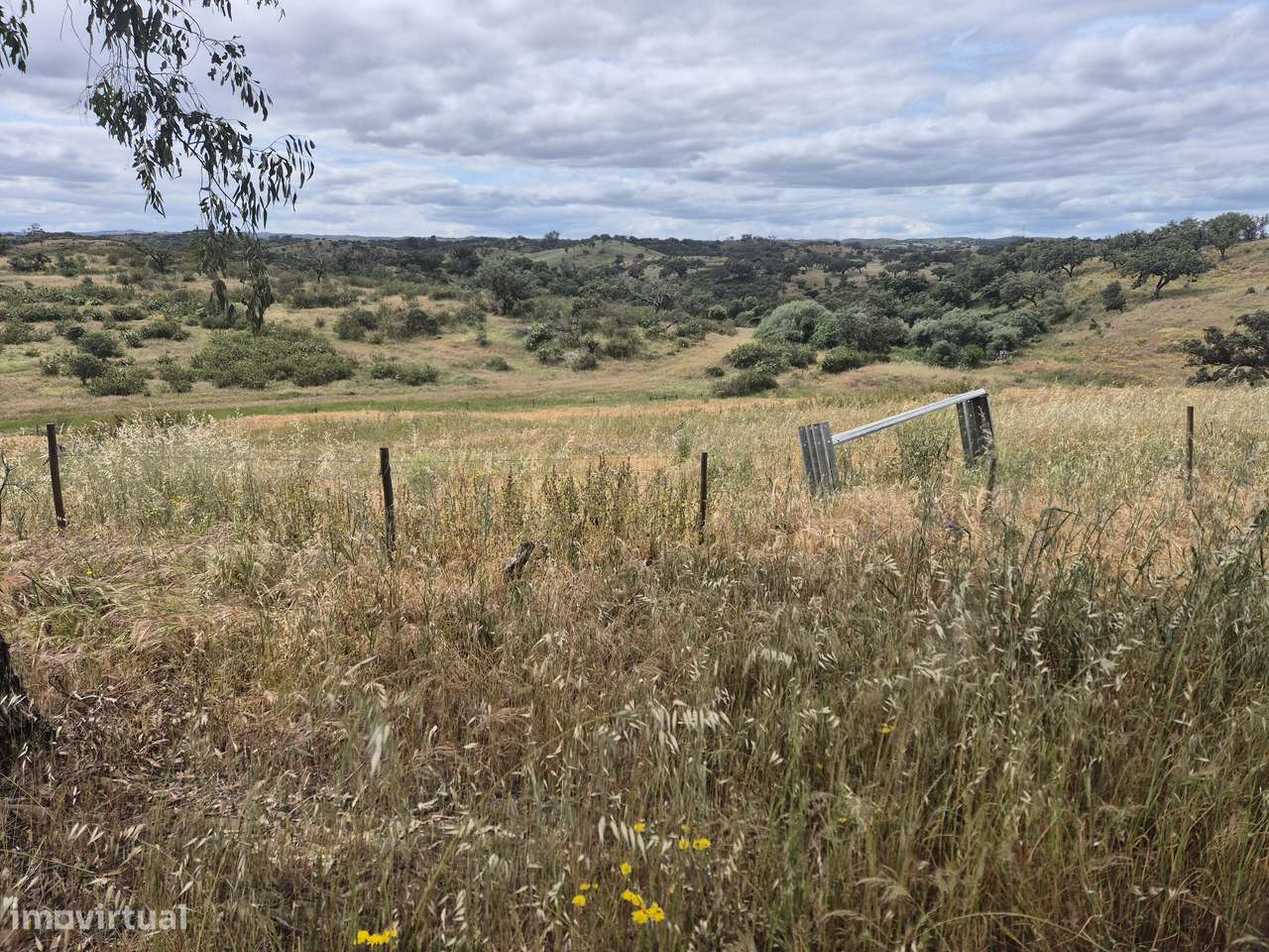 Monte Alentejano com casas a 5km da Aldeia dos Fernandes-8