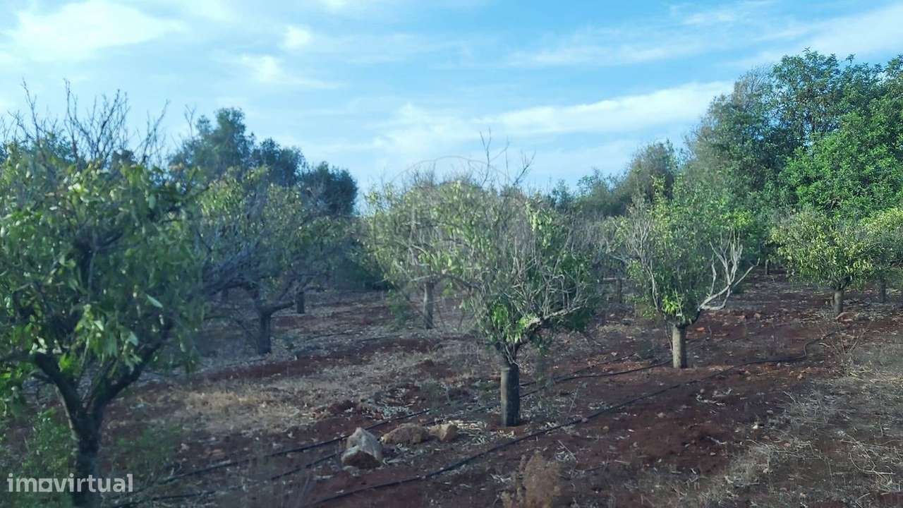 Terreno  para venda - Grande imagem: 5/13