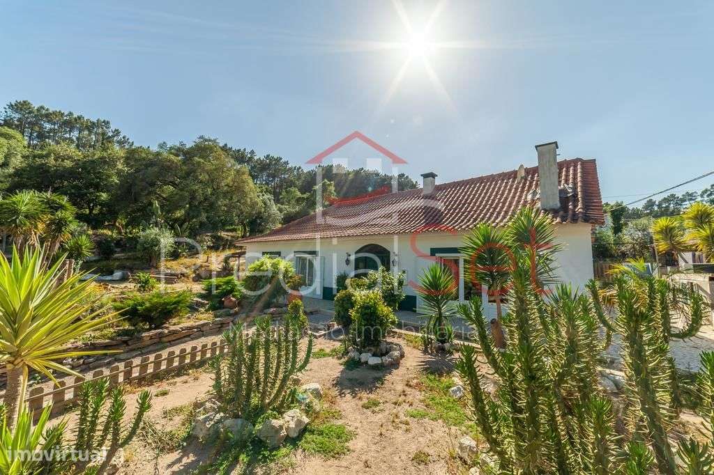 Quinta com Moradia de 6 assoalhadas com piscina - Loures-Lisboa-49