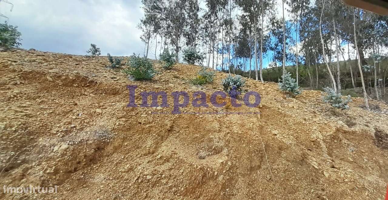 Terreno rústico em Milheirós de Poiares, Santa Maria da Feira - Grande imagem: 2/6