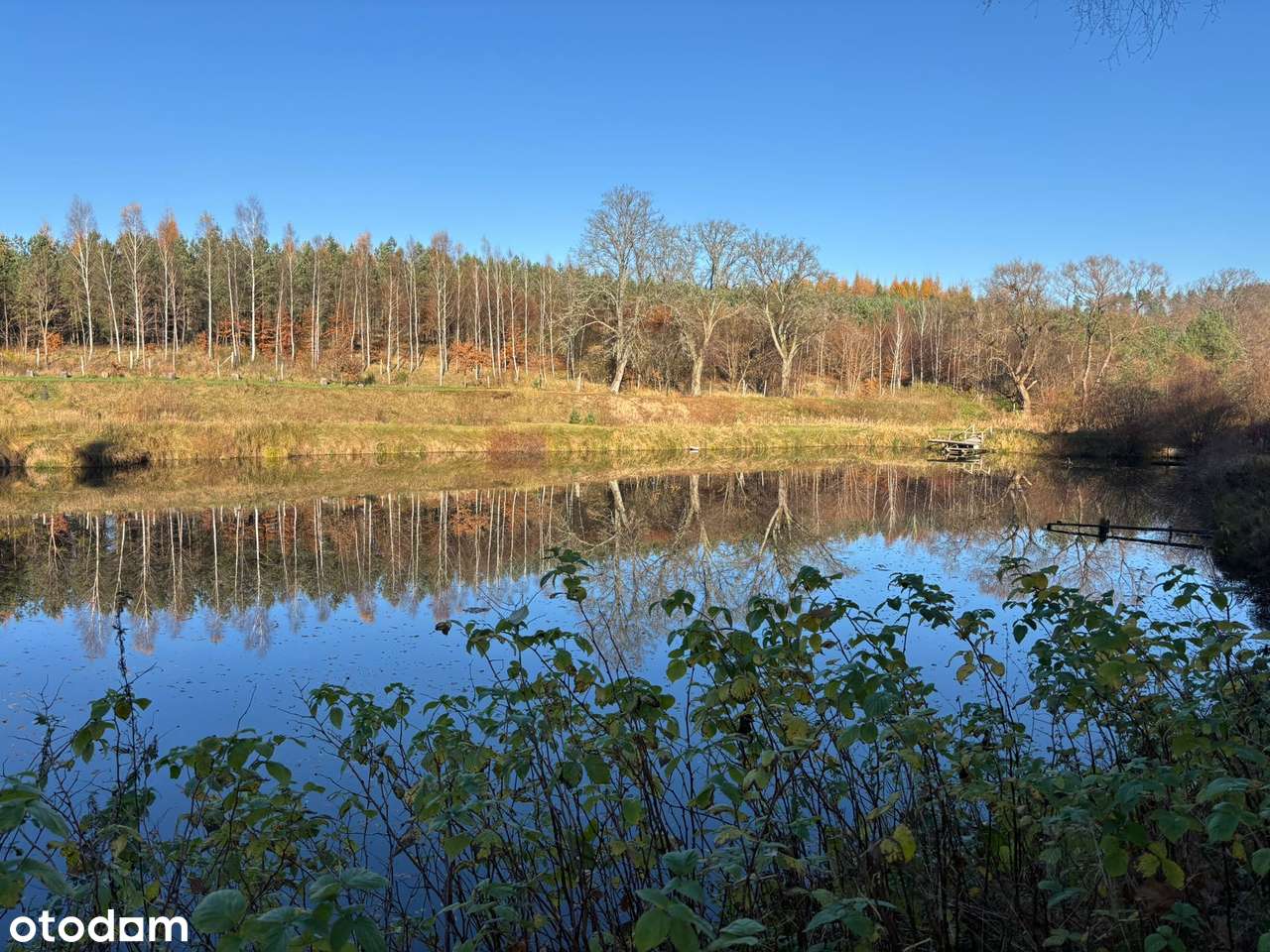 Działka siedliskowa z wydanymi warunkami zabudowy + stawy rybne-11