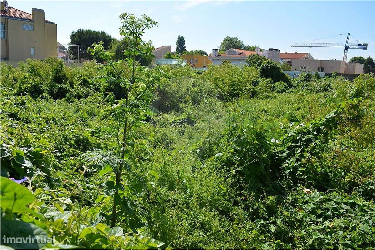 Terreno  para venda - Grande imagem: 2/3