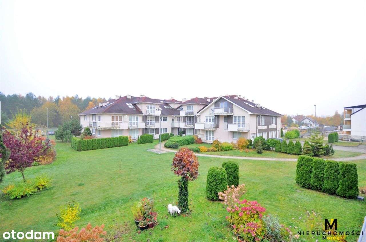 Wygodne 2 pokoje na I piętrze na osiedlu Bałtyk! - Pełny obrazek: 5/12