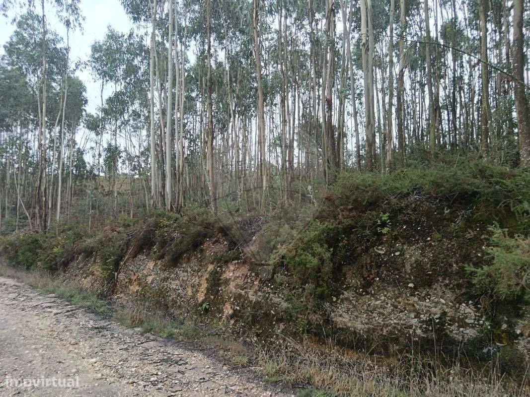 Terreno  para venda - Grande imagem: 3/3