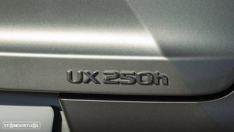 Lexus UX 250h Luxury - 22