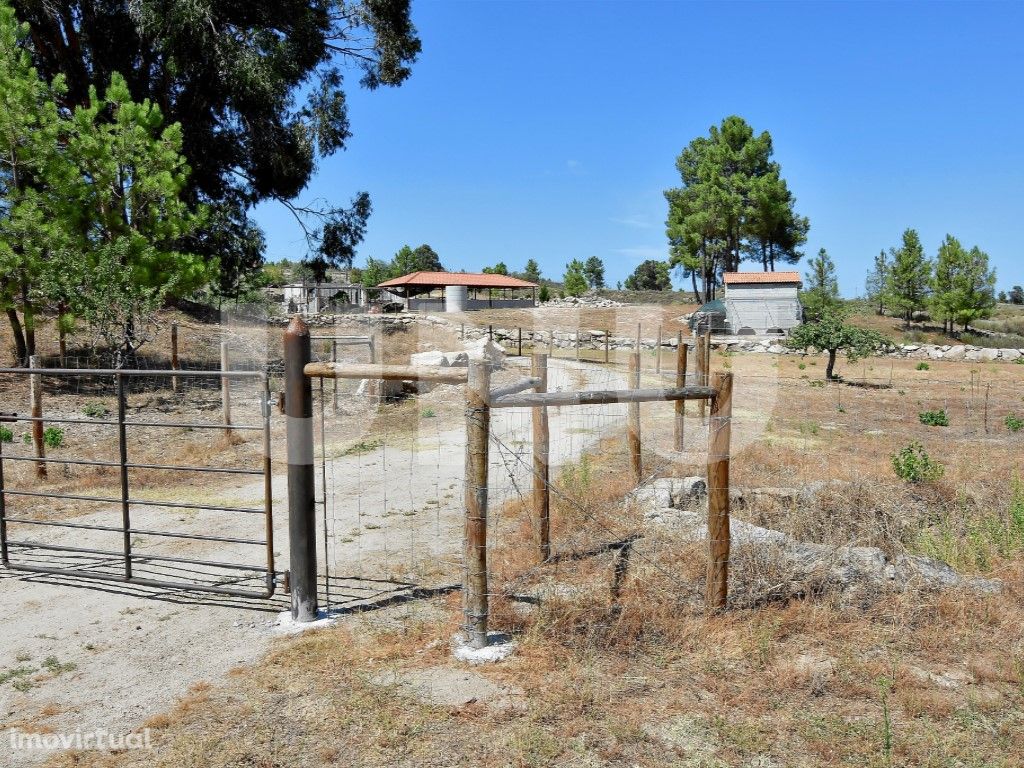 Propriedade ideal para atividades agrícolas e pecuárias e...