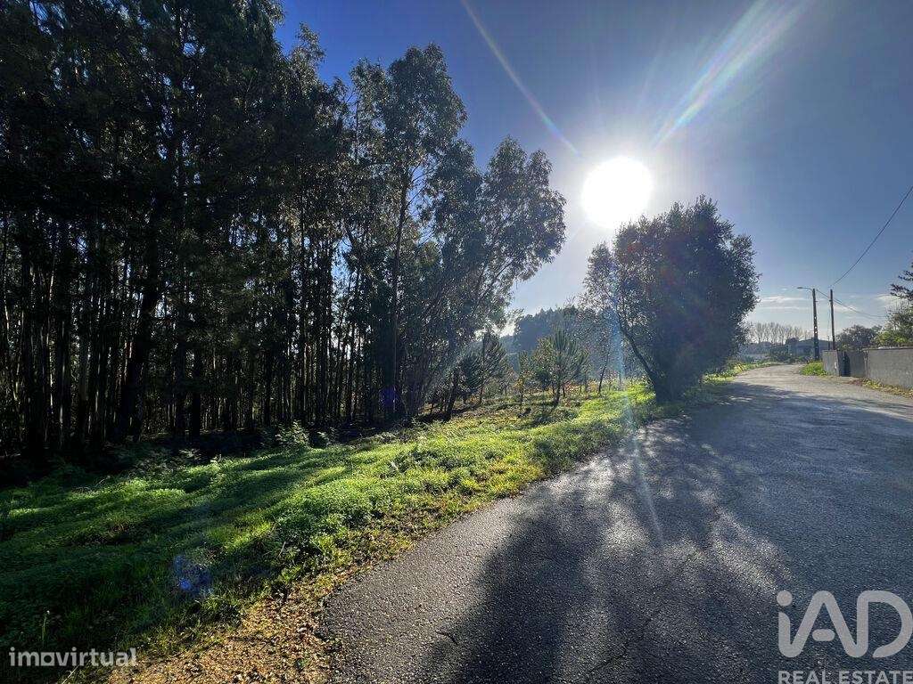 Terreno em Sangalhos - Grande imagem: 4/8
