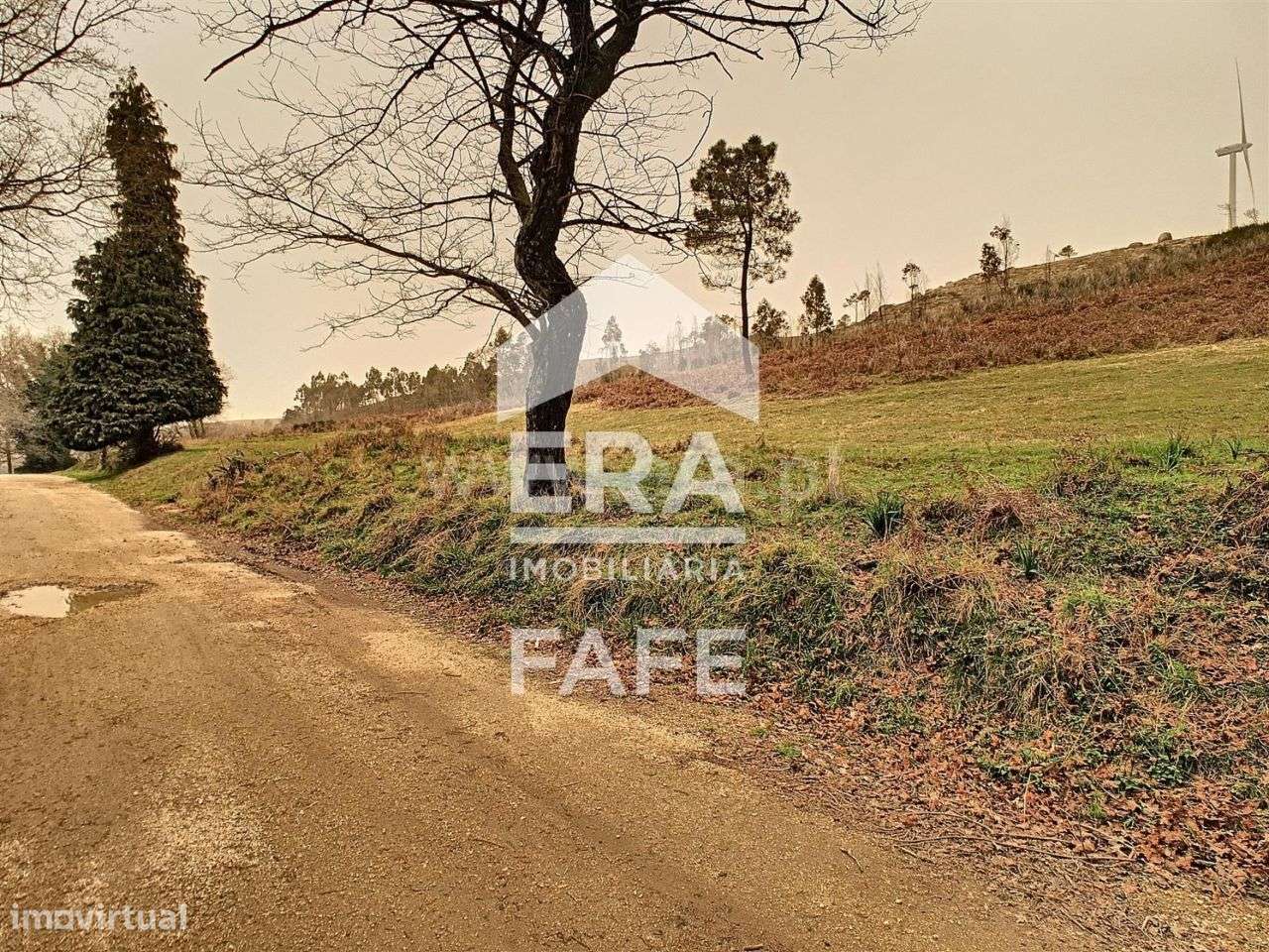 Terreno com 191.000 m2 em Basto S. Clemente - Celorico de Basto - Grande imagem: 4/17