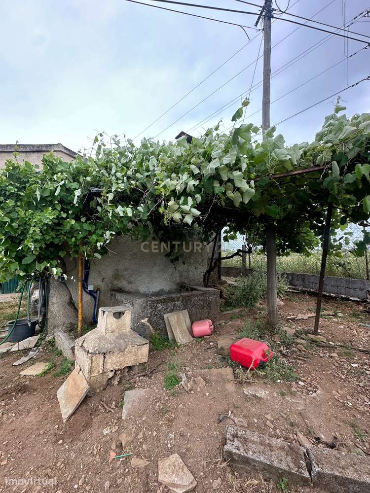 Quinta com Vista para a Montanha em Sabugal - Grande imagem: 3/14