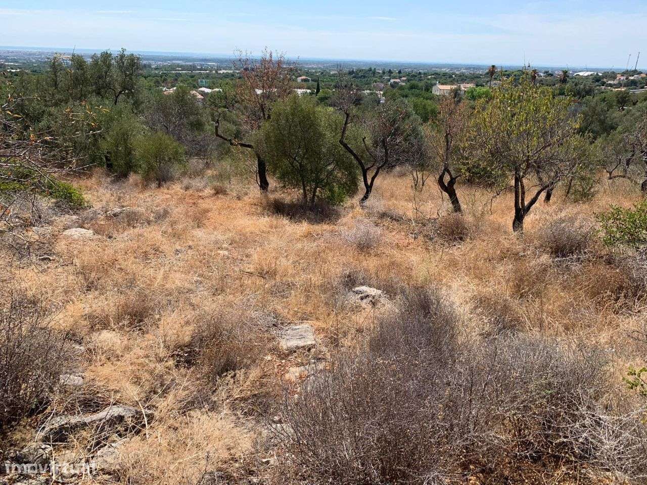 Terreno Urbano, com 3 artigos, Colmeal-34