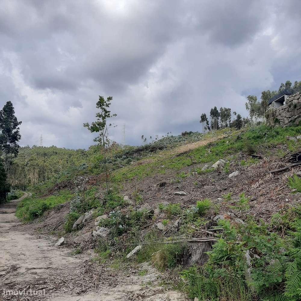 Terreno Rans Penafiel - visão e valorização a médio e longo prazo-7