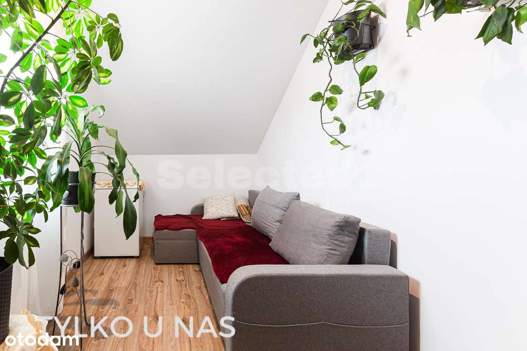 Promocja tylko dla klientów gotówkowych-12