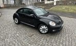 Volkswagen Beetle - 8