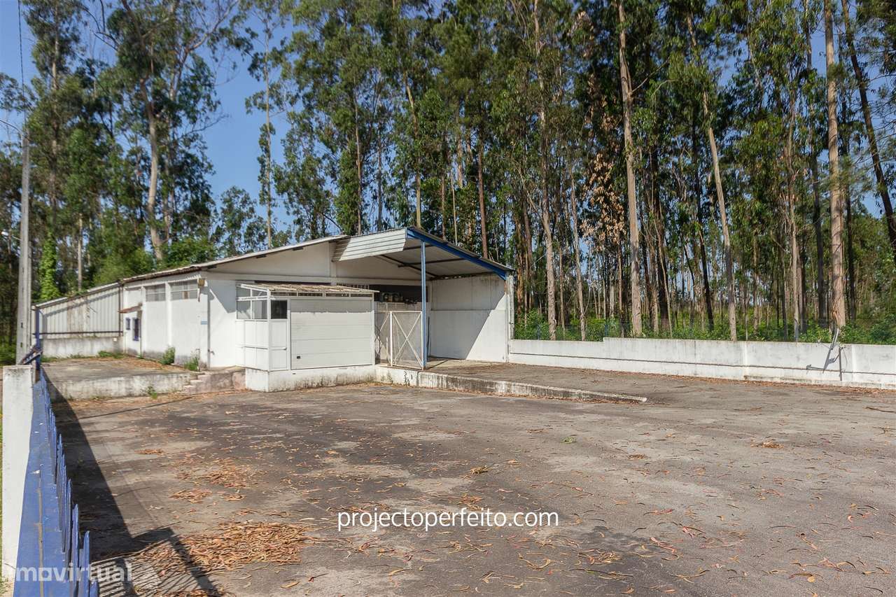 Armazém  Venda em Válega,Ovar - Grande imagem: 5/15