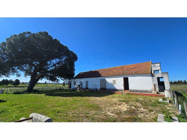 Herdade de 28.000m2 com vinha moscatel e habitações-2
