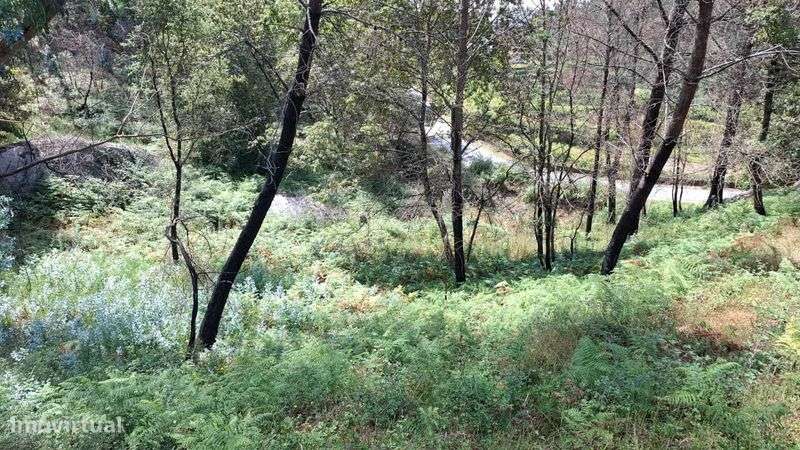 Terreno na Póvoa de Lanhoso - Grande imagem: 4/7