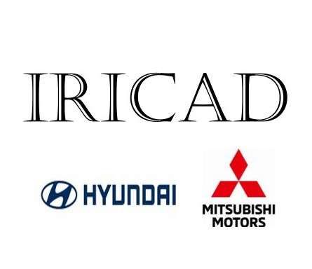 IRICAD BRAILA logo