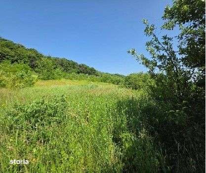 Teren Duda Epureni, ID: R2609594 - Imagine principală: 4/11