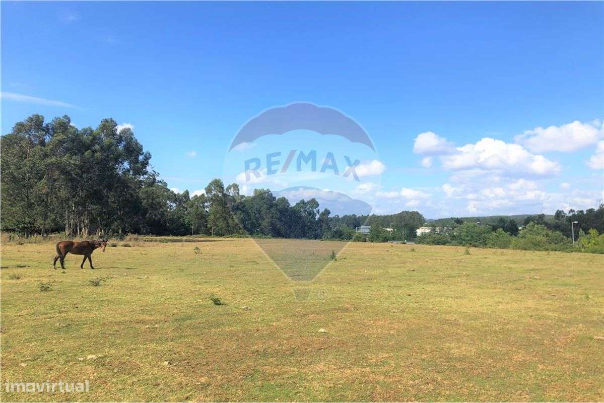 Terreno  para venda - Grande imagem: 4/4