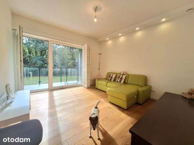 Willa w lesie, z ogrodem i sadem, blisko Centrum-13