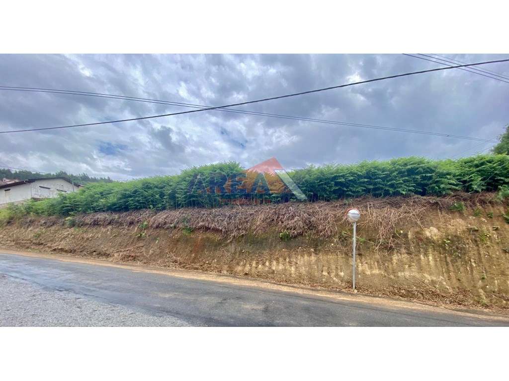 Terreno plano com viabilidade de construção! a 3 min de Oliveira de... - Grande imagem: 2/2