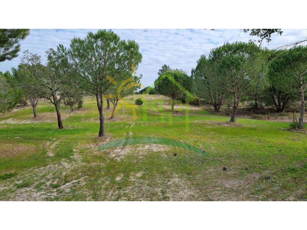 Terreno na Herdade Zambujeiro em Santo Estevão-8