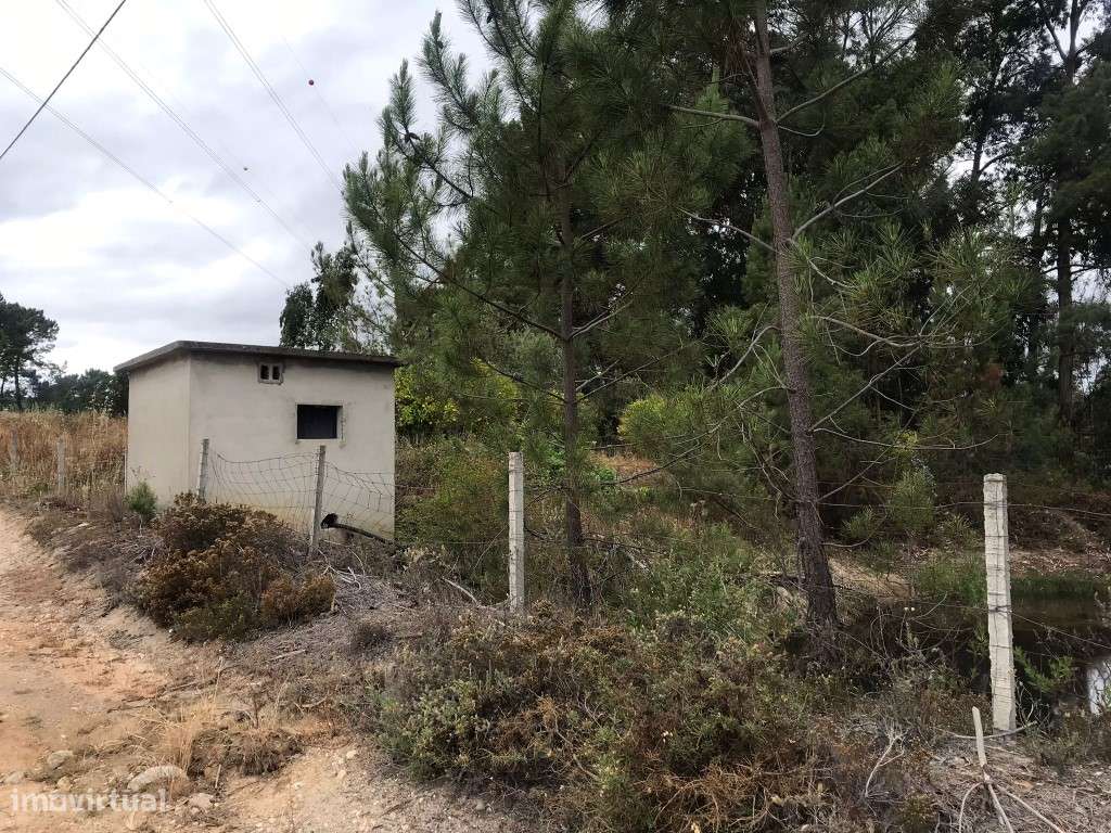 Quinta com casinha na Chancelaria, Torres Novas-10
