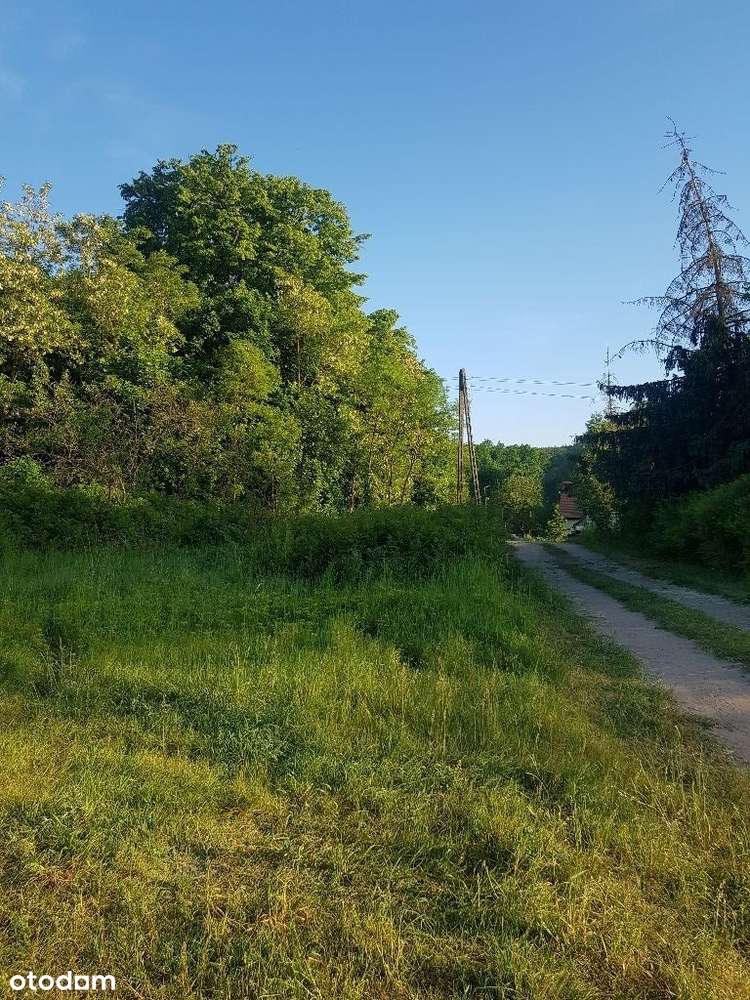 NIŻSZA CENA ! Działki z WZ, Pszczew, jezioro, las - Pełny obrazek: 3/9