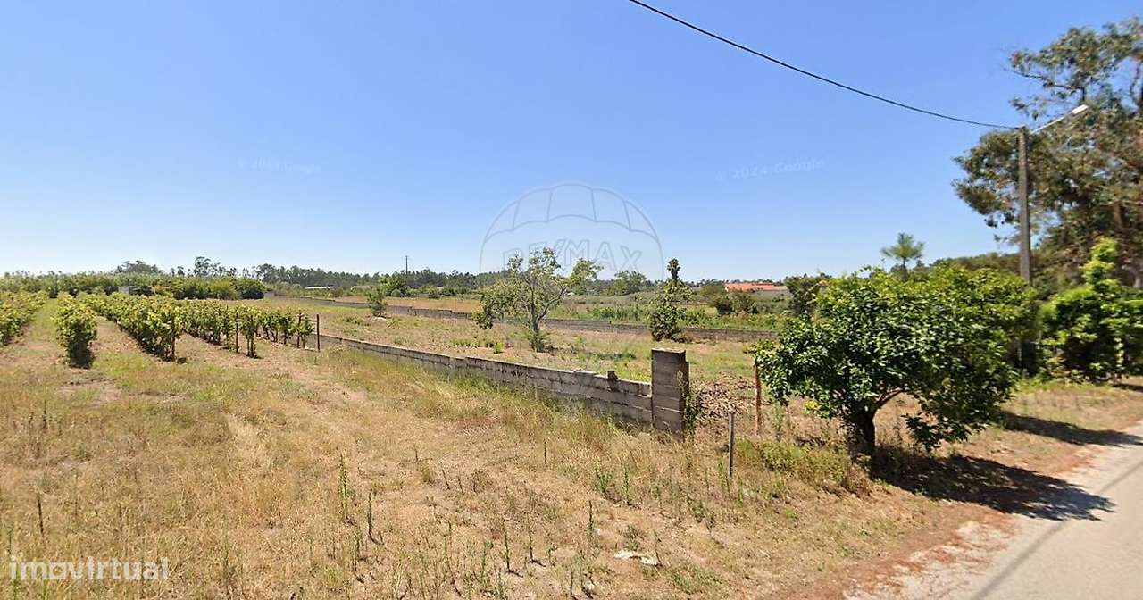 Terreno  para arrendamento - Grande imagem: 2/5