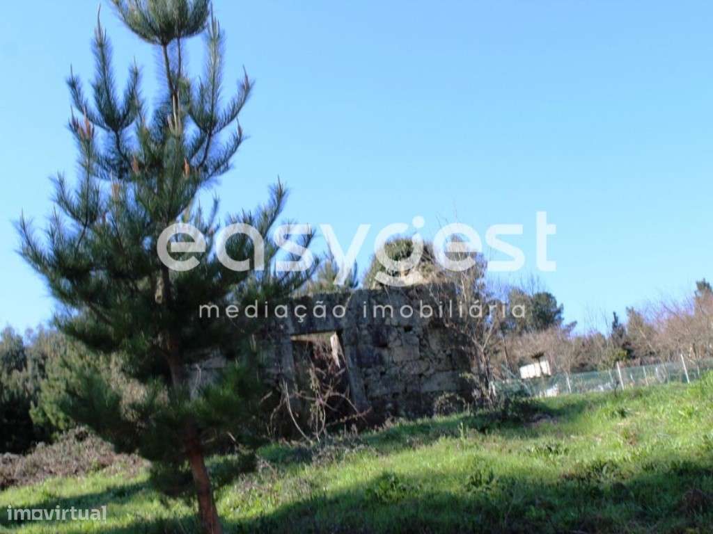 Terreno com 38.220 m2 - Couto de Cima - Grande imagem: 4/4