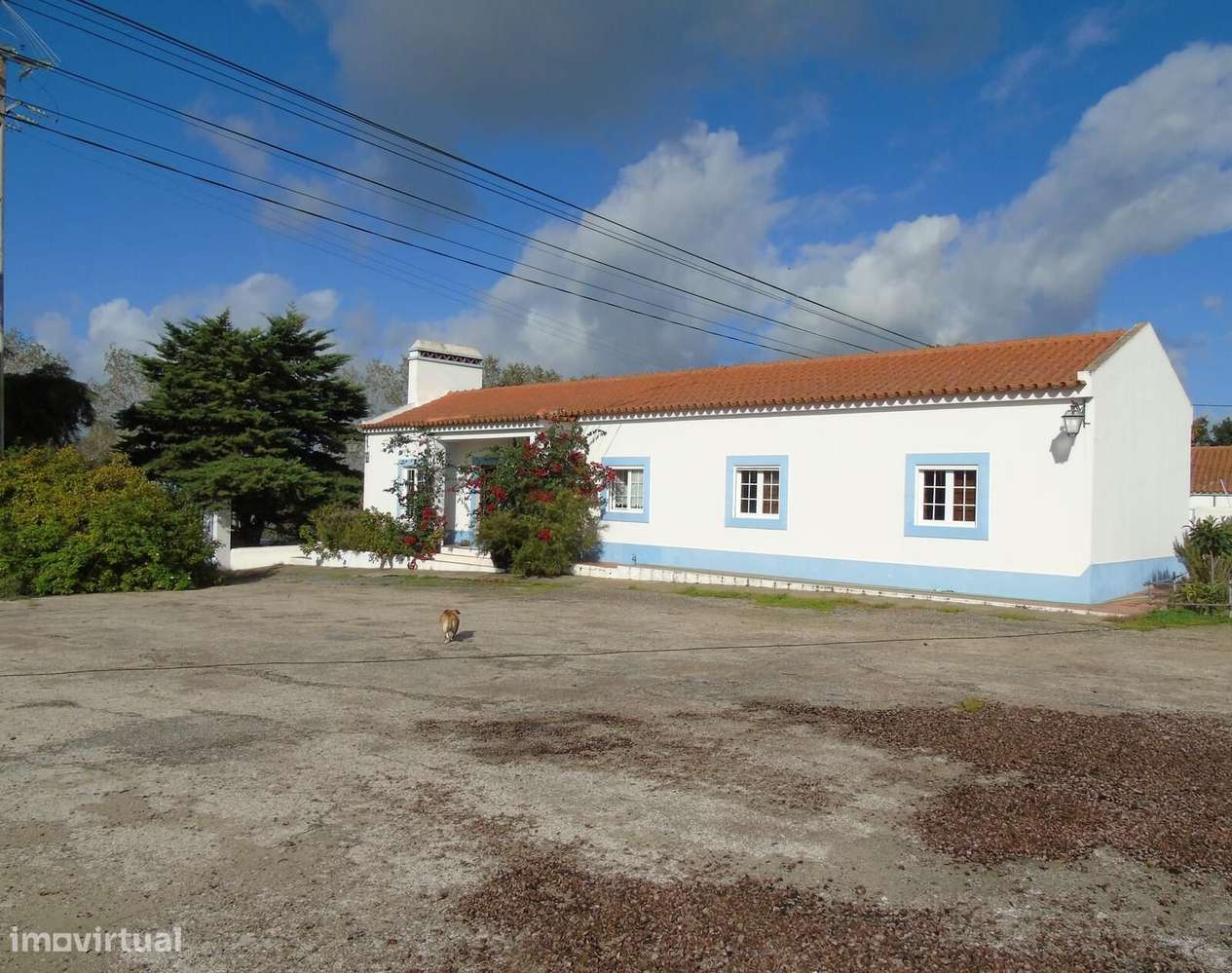 Moradia Isolada T4 com estacionamento, Álcacer do Sal, Alcacer do Sal - Grande imagem: 4/26