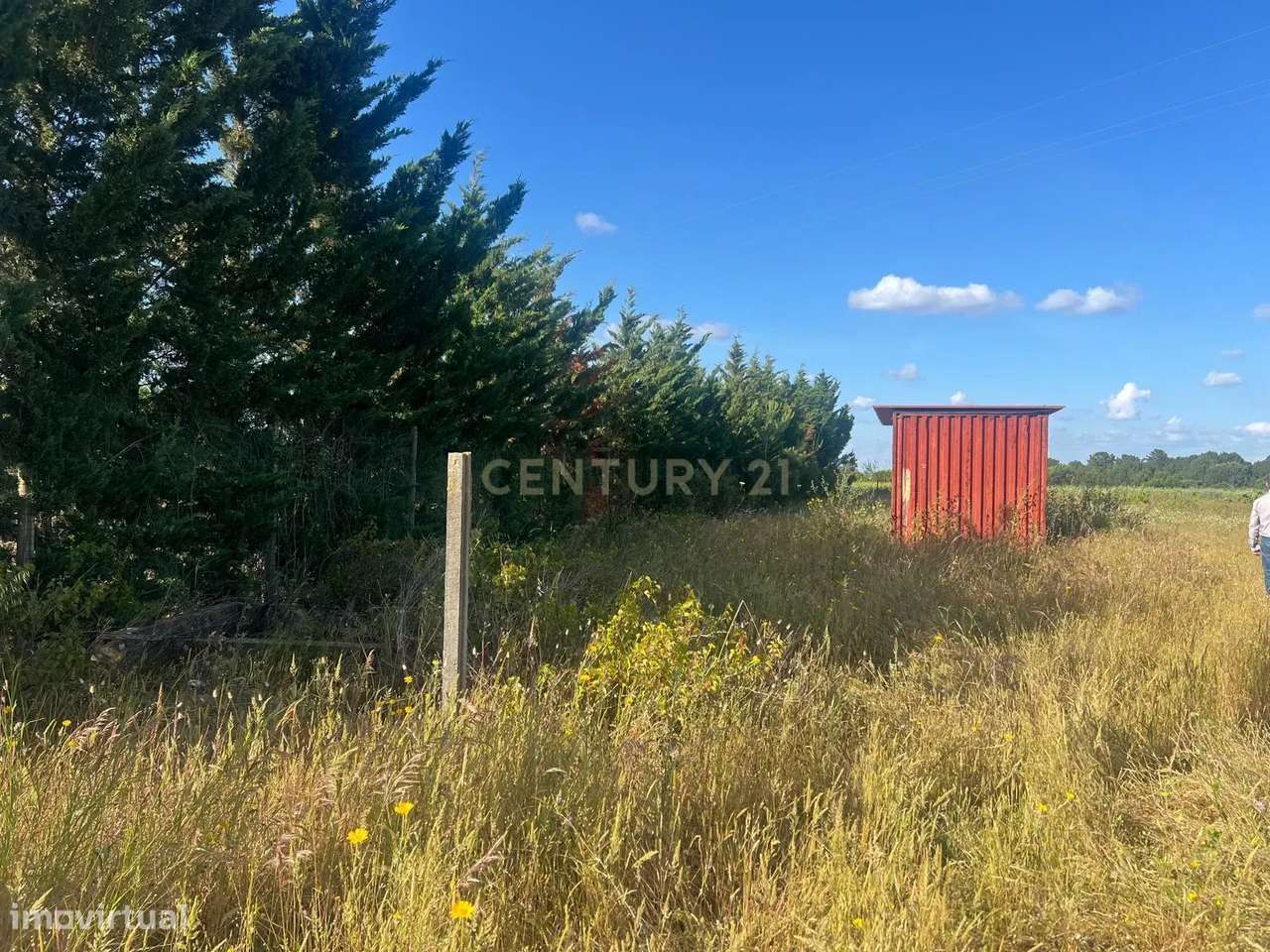 Terreno Rústico em Palmela, com Água e Eletricidade - 6000m² - Grande imagem: 3/10