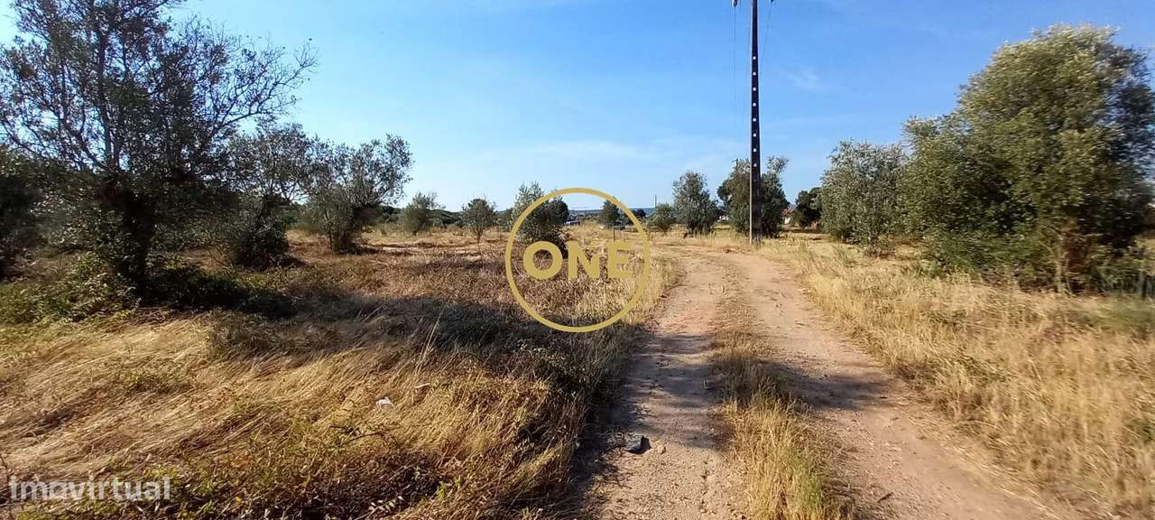 Terreno com 21.960 m2 e viabilidade construtiva | Vila Nova da Barquin-16
