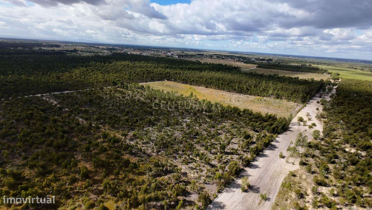 Magnifica Herdade Turística   em Santo Estêvão, Benavente-6