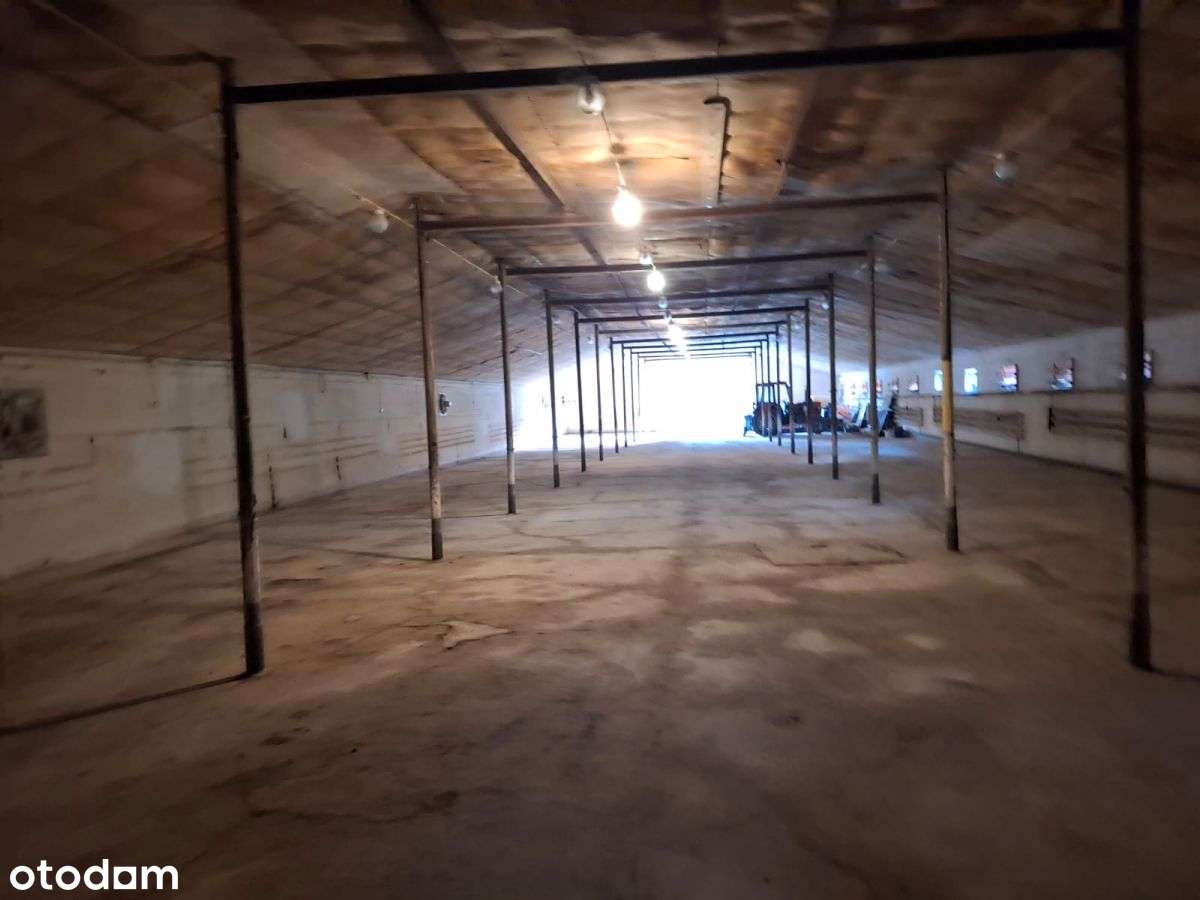 Magazyn ogrzewany przy Dk7 - Pełny obrazek: 4/6