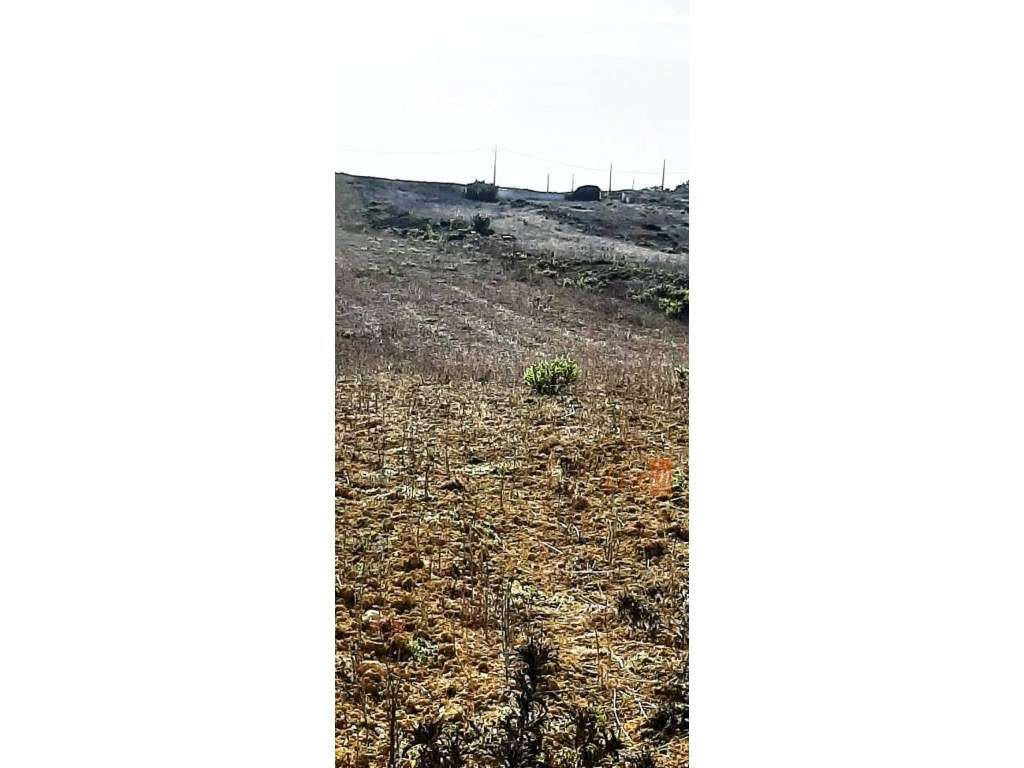 Terreno Rústico à Beira-Mar em Espinheiras Sintra - Grande imagem: 3/15