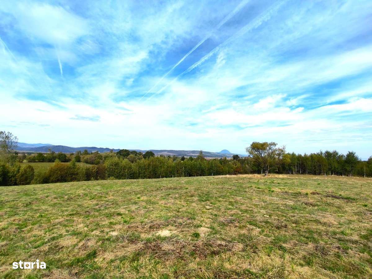 5800 mp fineata, pretabil camping, constructii A-frame, Sohodol, Bran - Imagine principală: 5/8