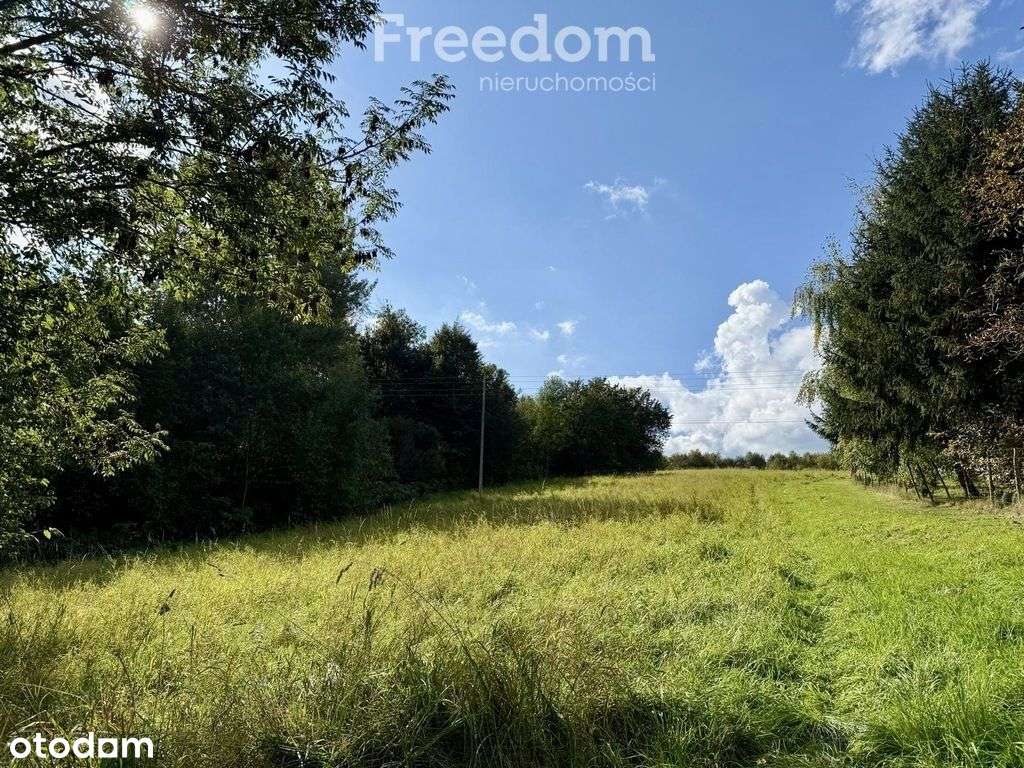 97,96 ar pod dom lub inwestycję - ul. Św. Rocha - Pełny obrazek: 5/17