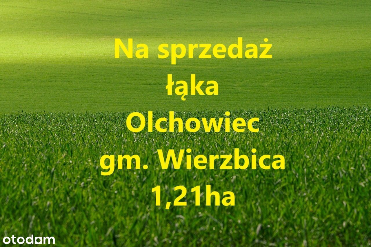 ⭐⭐⭐Na sprzedaż grunt we wsi Olchowiec ⭐⭐⭐