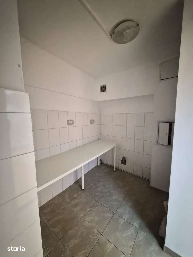 De vanzare Vila individuala, 9 camere, Mosilor - Eminescu, sector 2-10