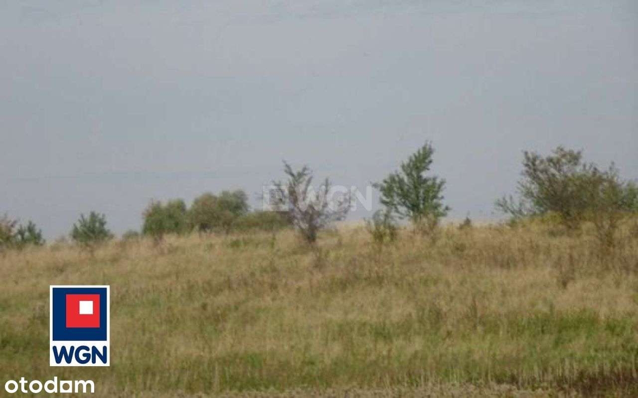 Działka Z Linią Brzegową Jeziora - Pełny obrazek: 4/14