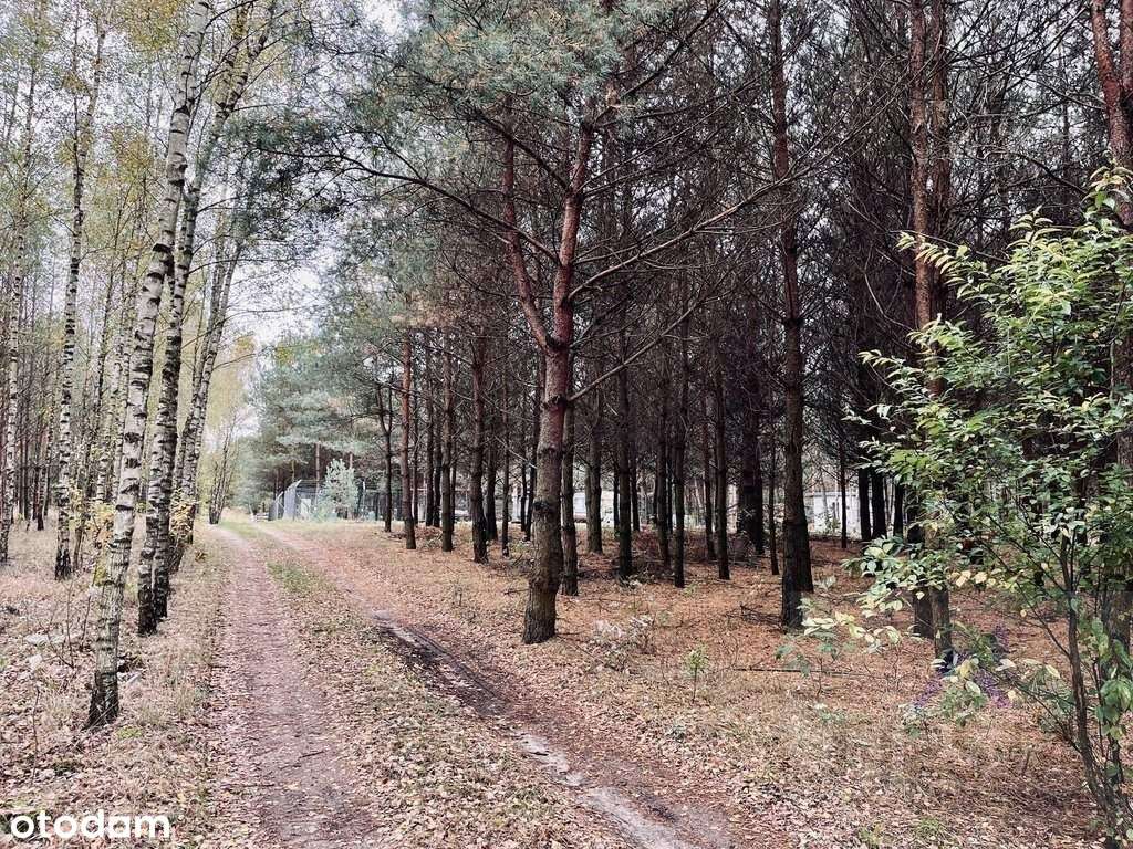 Działka, 2 303 m², Sosnowo - Pełny obrazek: 4/7