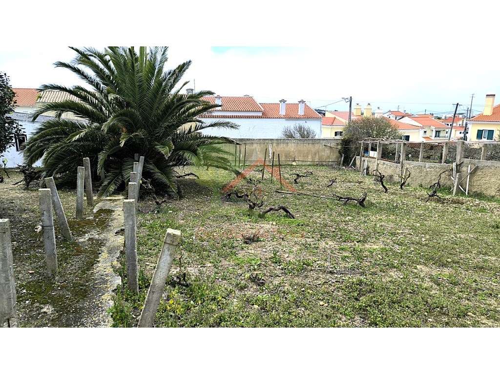 Quintinha para reconstruir com vista mar-12