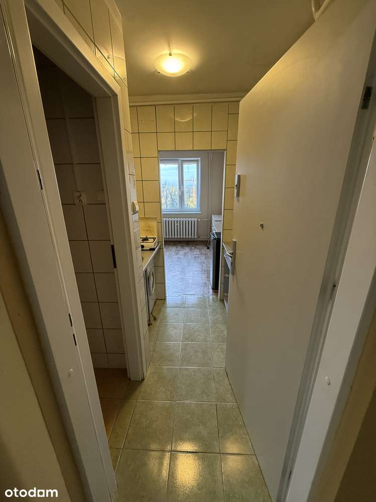 Kawalerka z widokiem Gdańsk Stogi, plaża, kluby jachtowe, porty - Pełny obrazek: 4/10