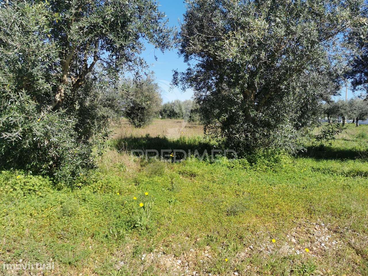 Terreno Urbano - Grande imagem: 3/8