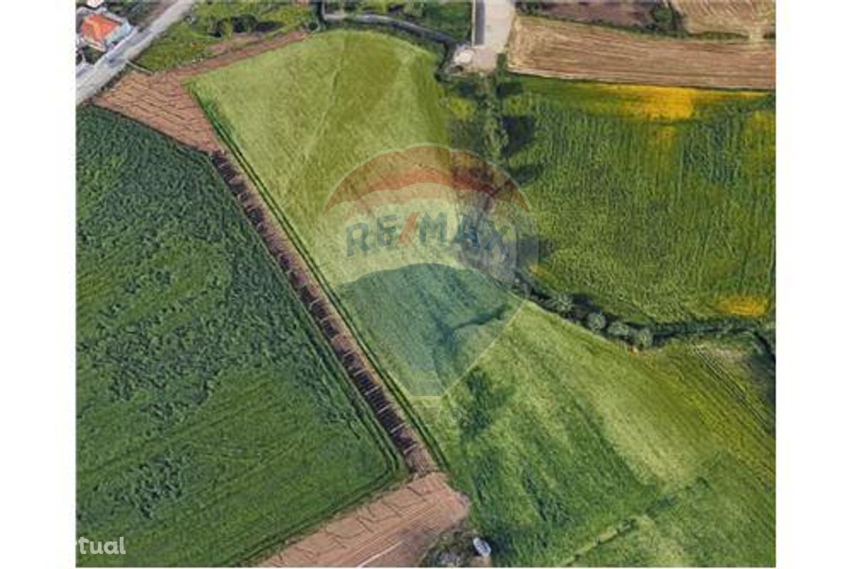 Terreno Agrícola para arrendamento