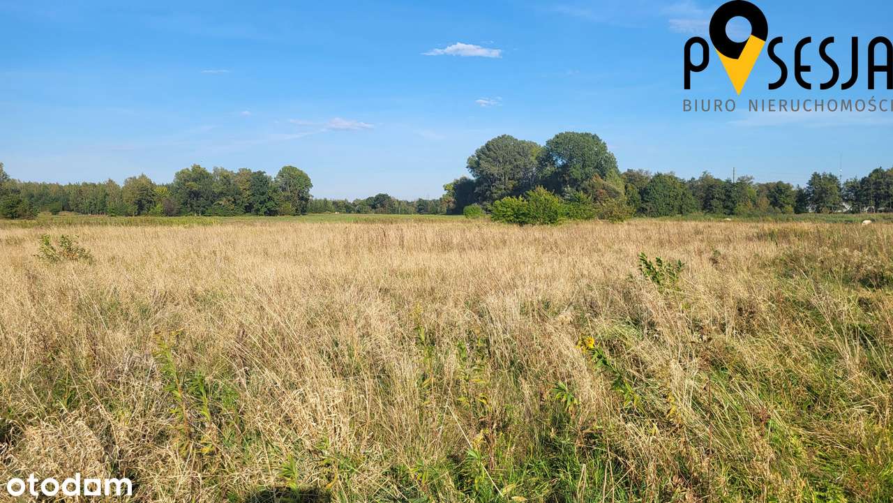 Działka budowlana 5700 m2  Antoninów - Piaseczno-4